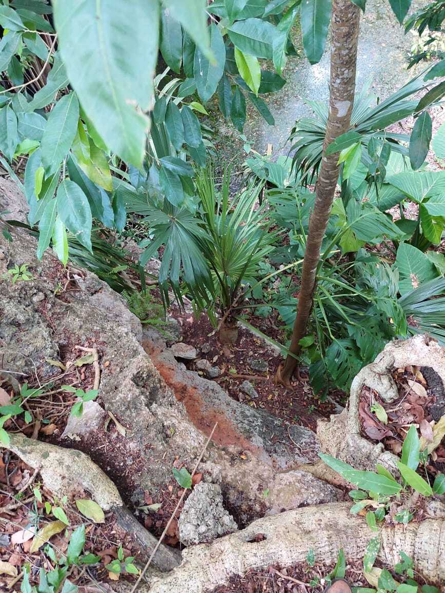 33 de 39