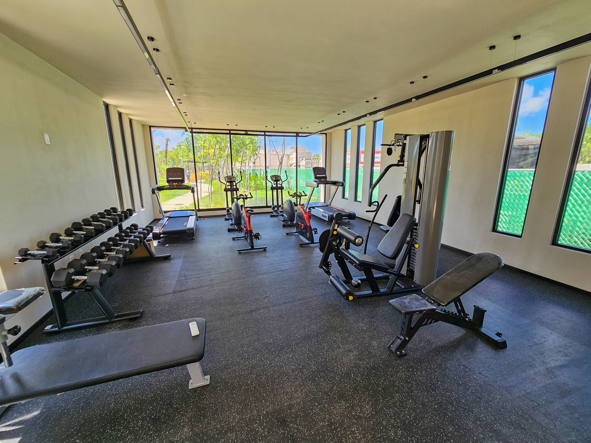 4 de 21: Gimnasio