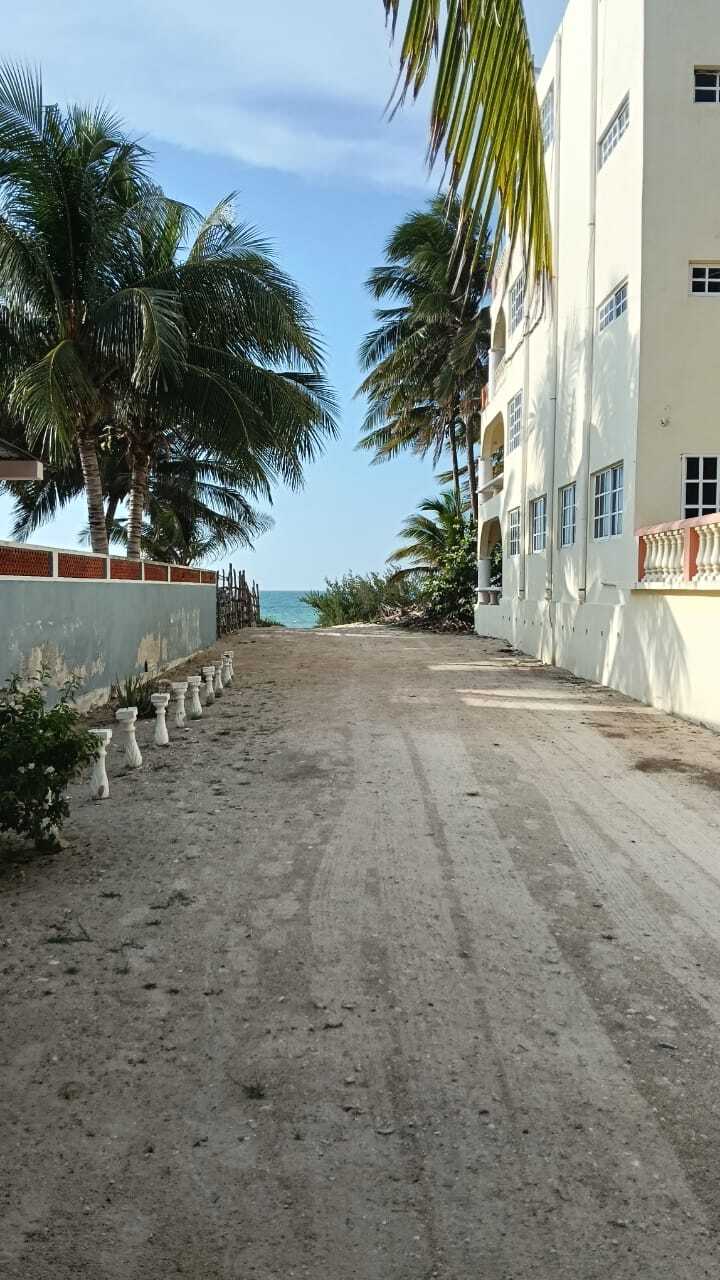 25 de 40
