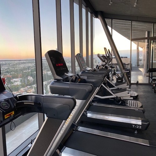 31 de 38: gym