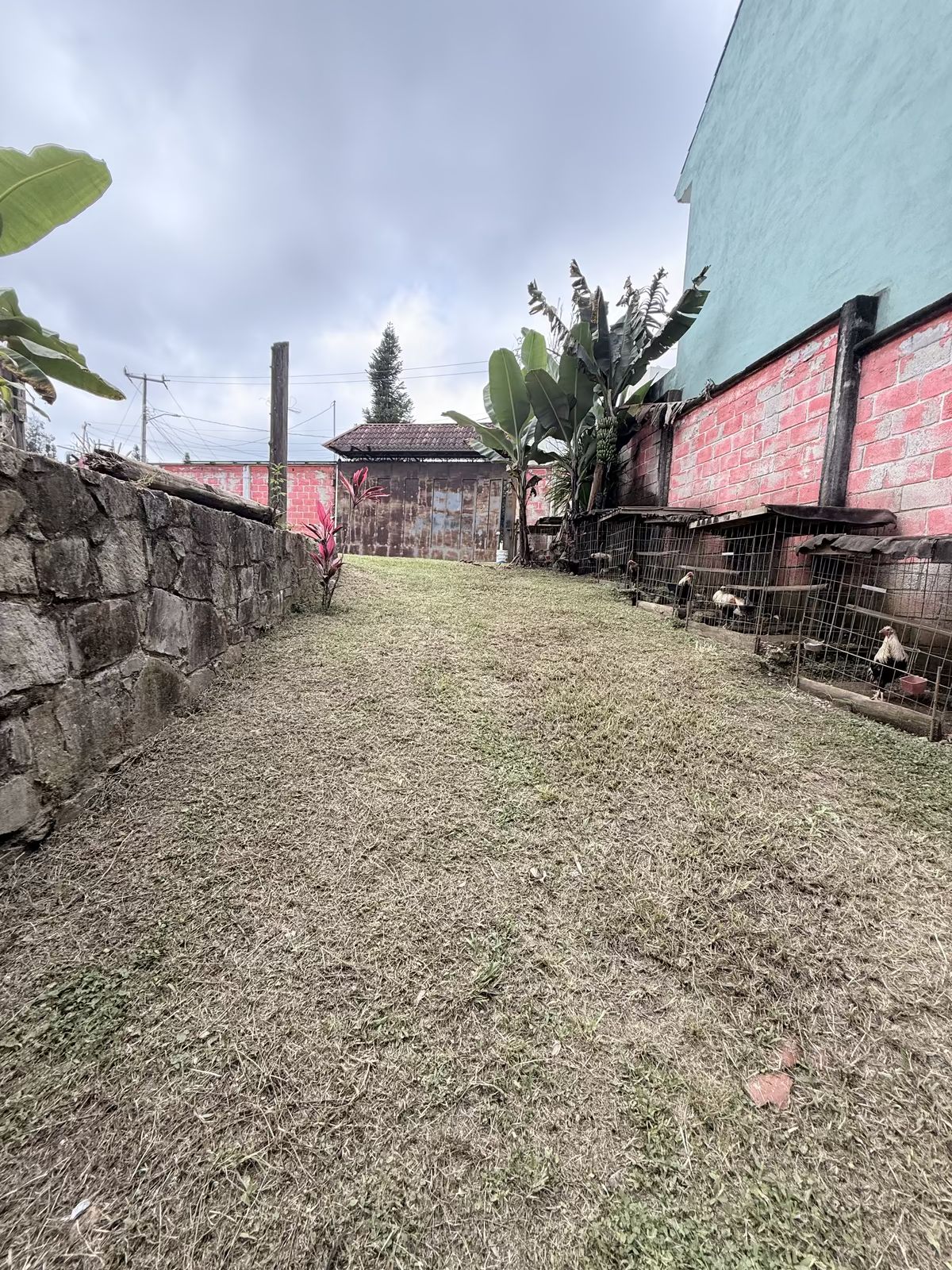 5 de 6