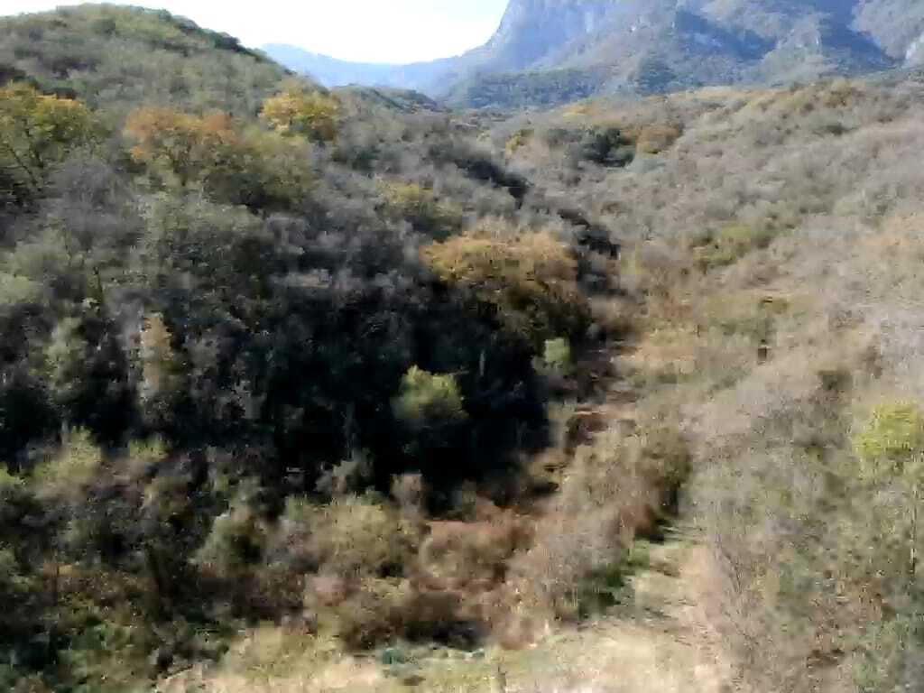 5 de 11