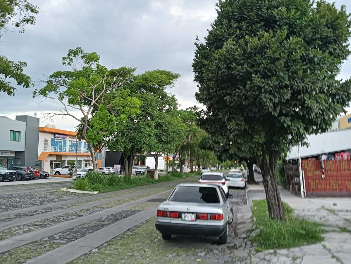 6 de 6