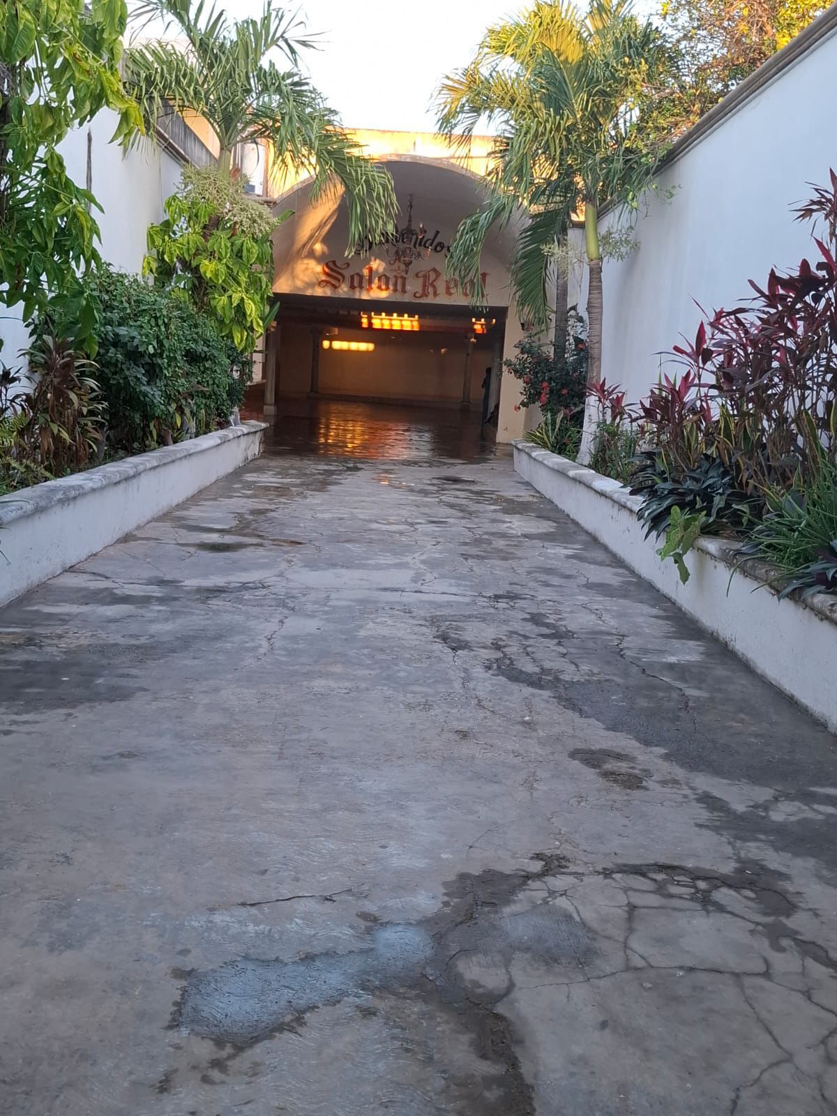 1 de 14