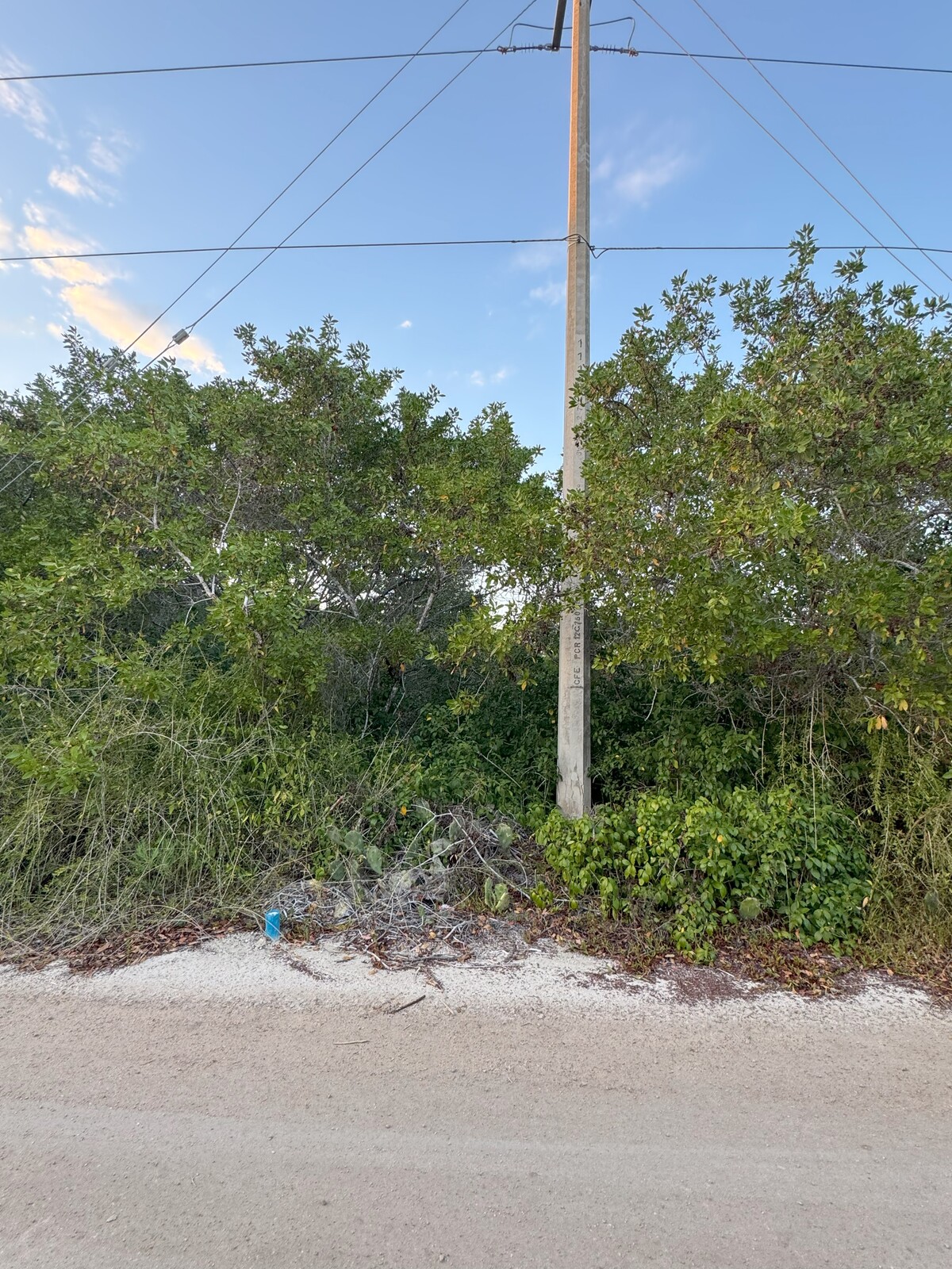5 de 6