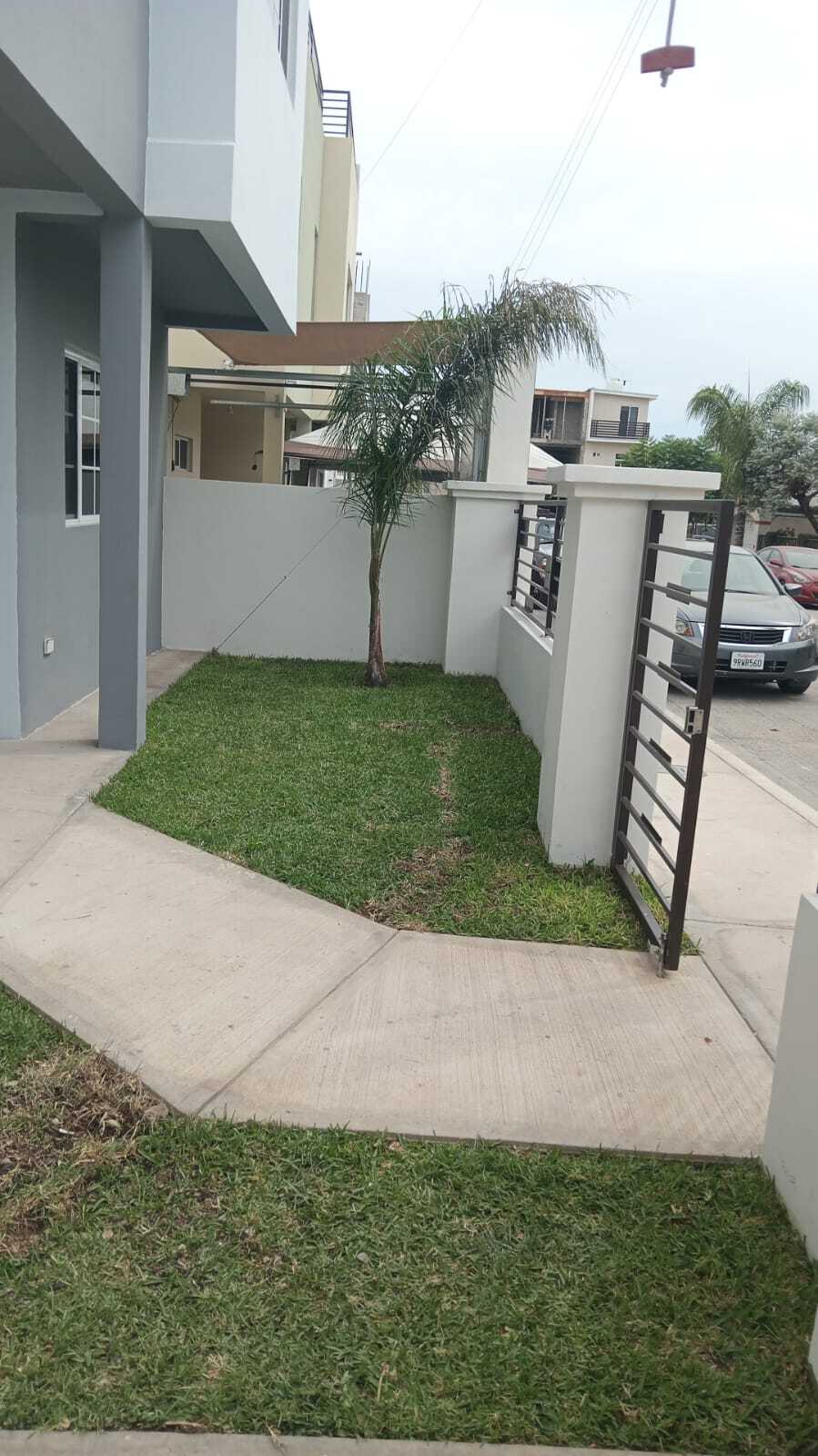 7 de 12