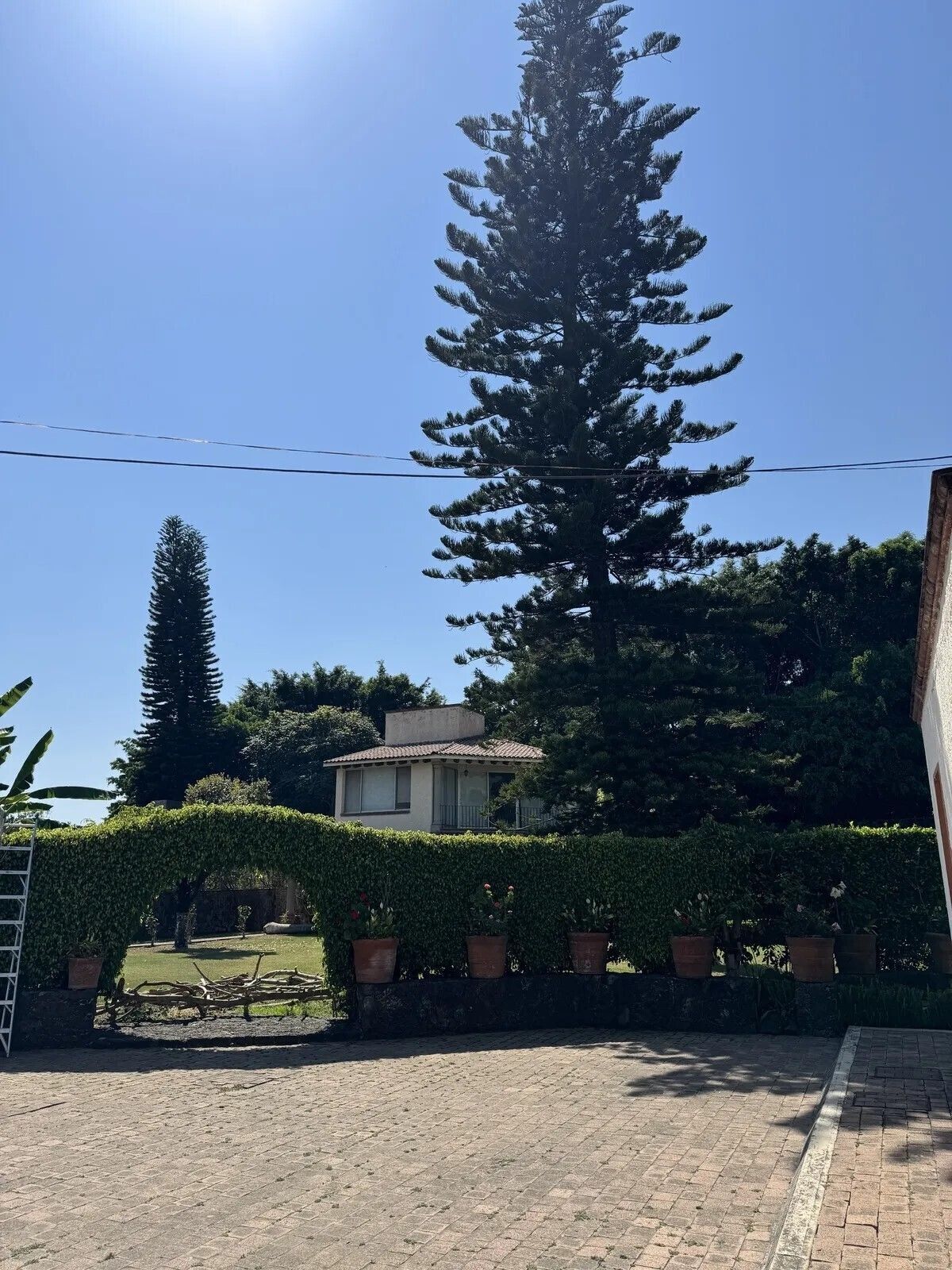 3 de 19