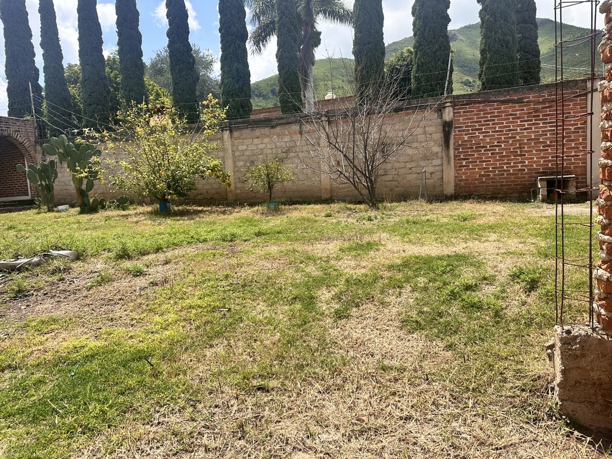 5 de 9