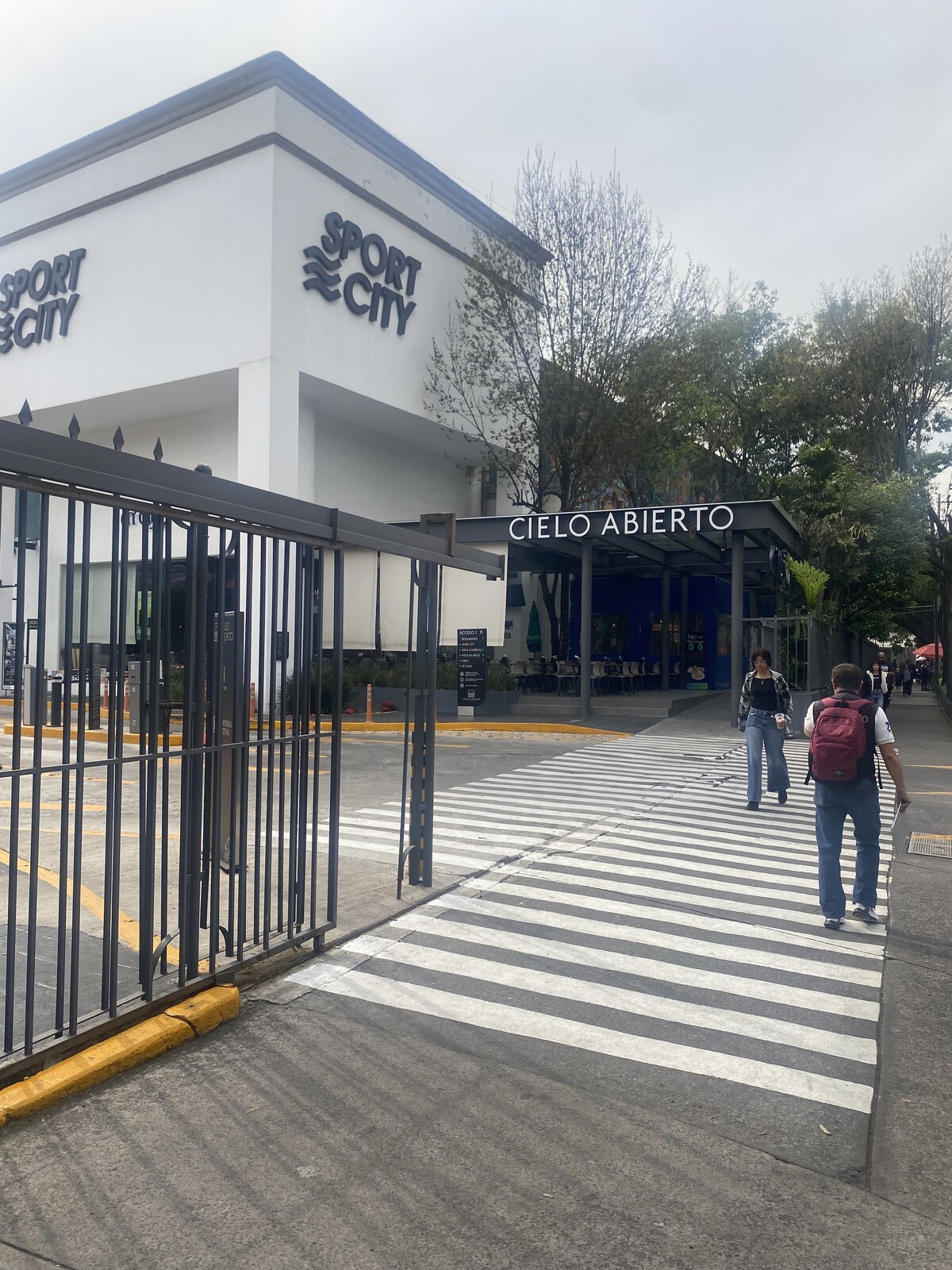 3 de 6