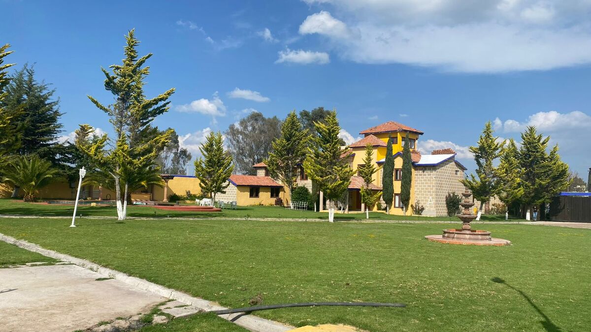 4 de 37