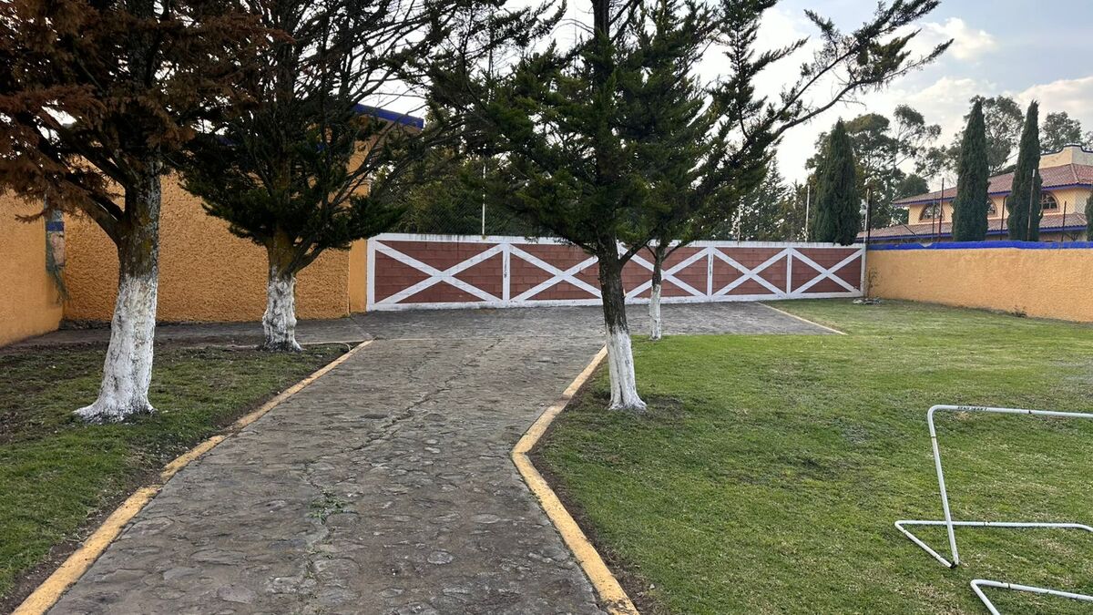 9 de 37
