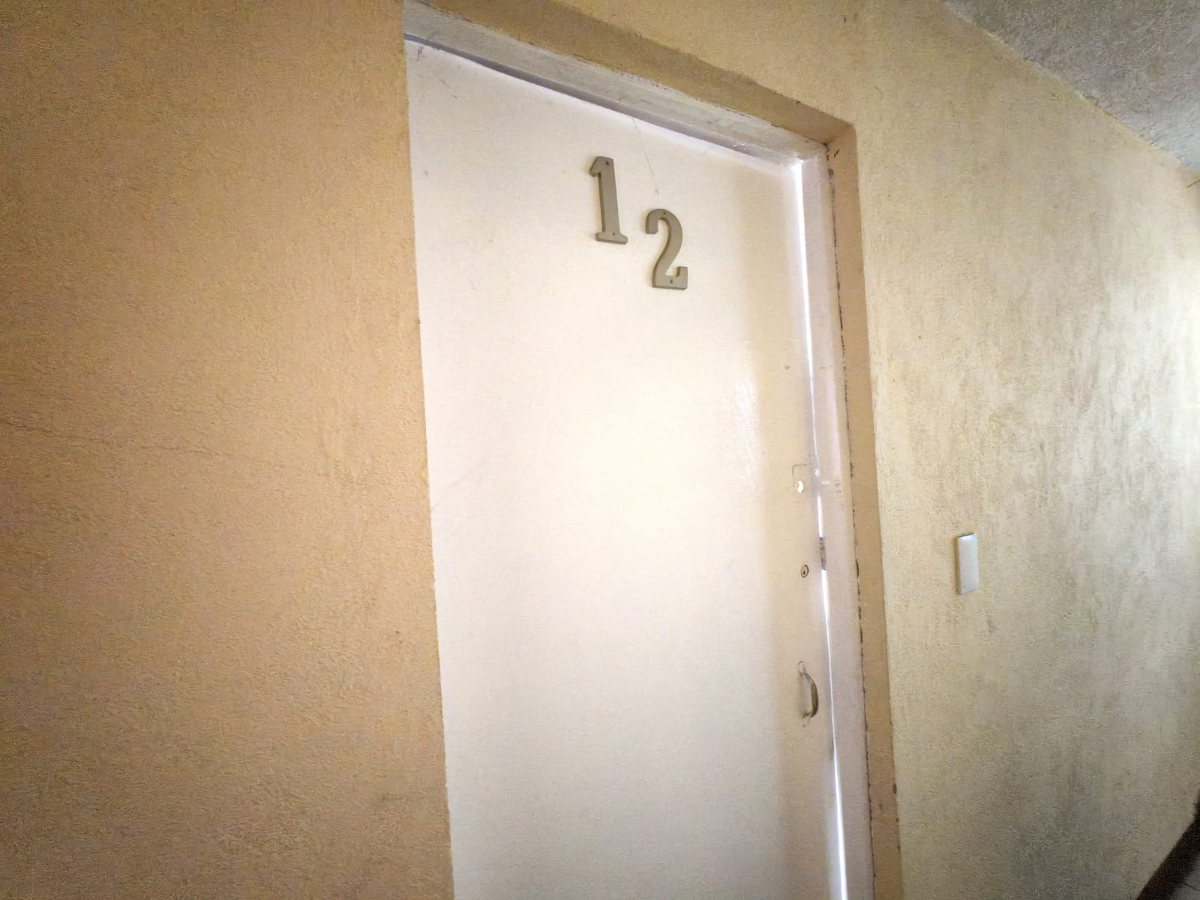 6 de 19