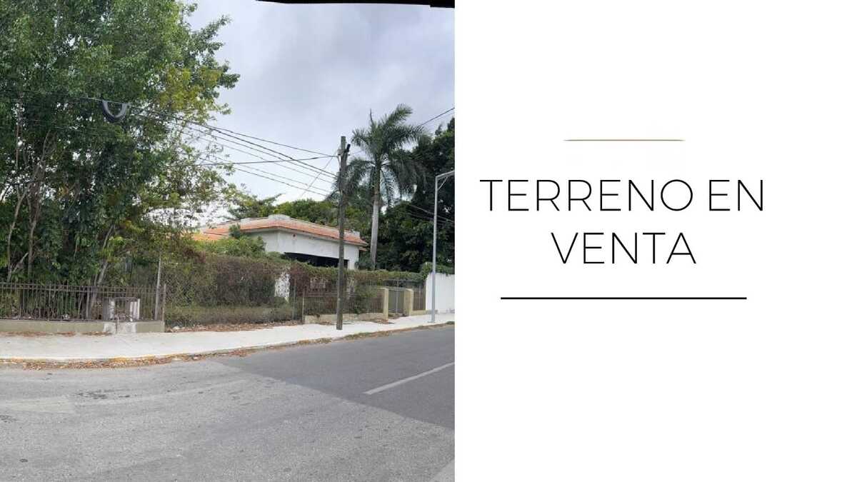 1 de 4