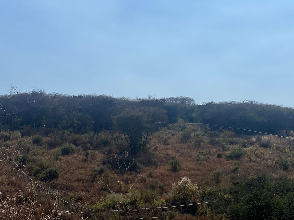 2 de 4
