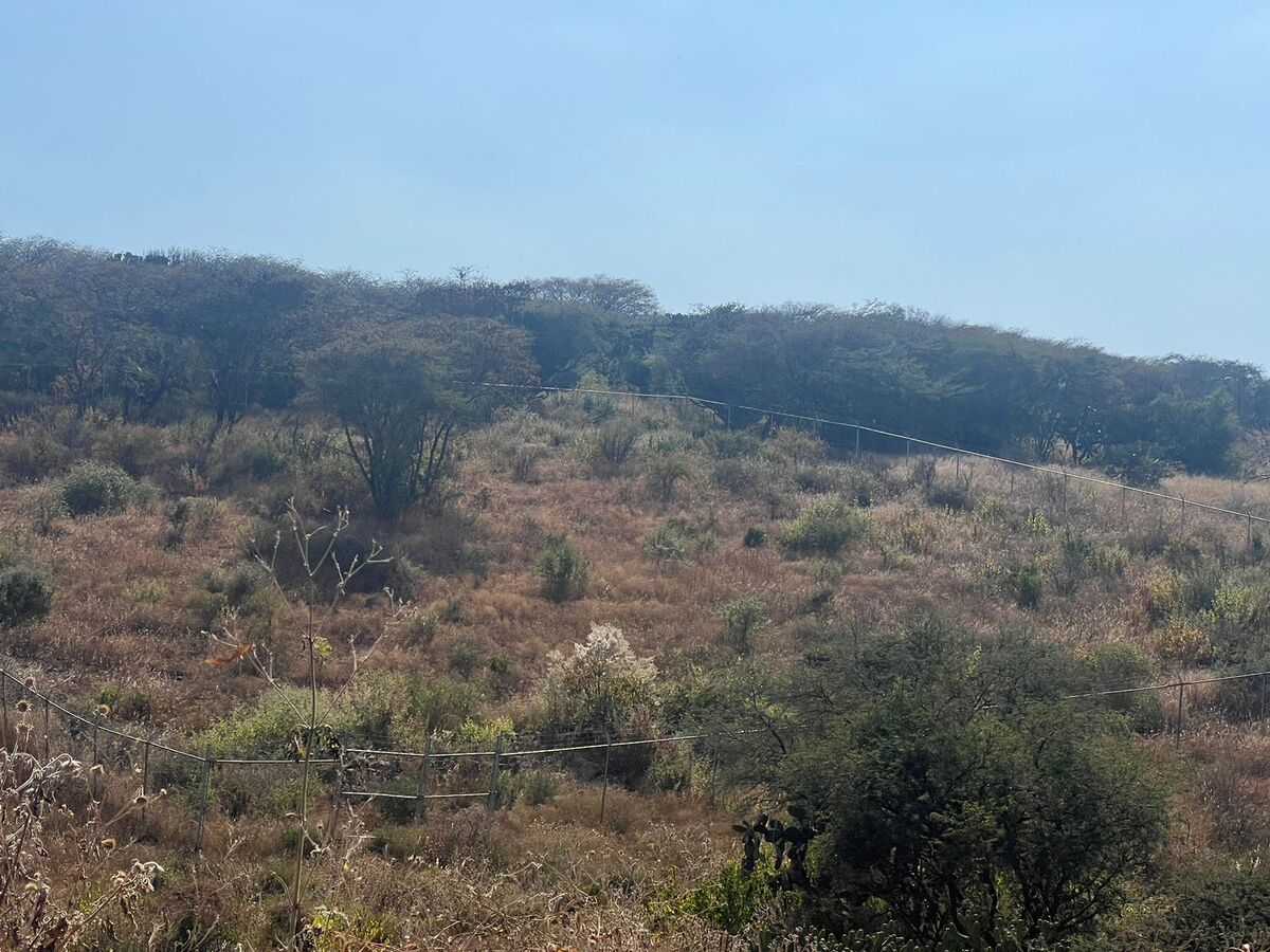 3 de 4