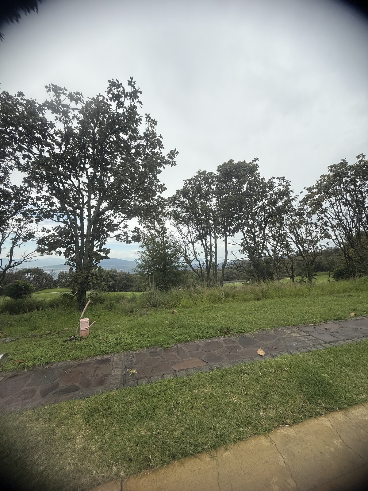 2 de 15