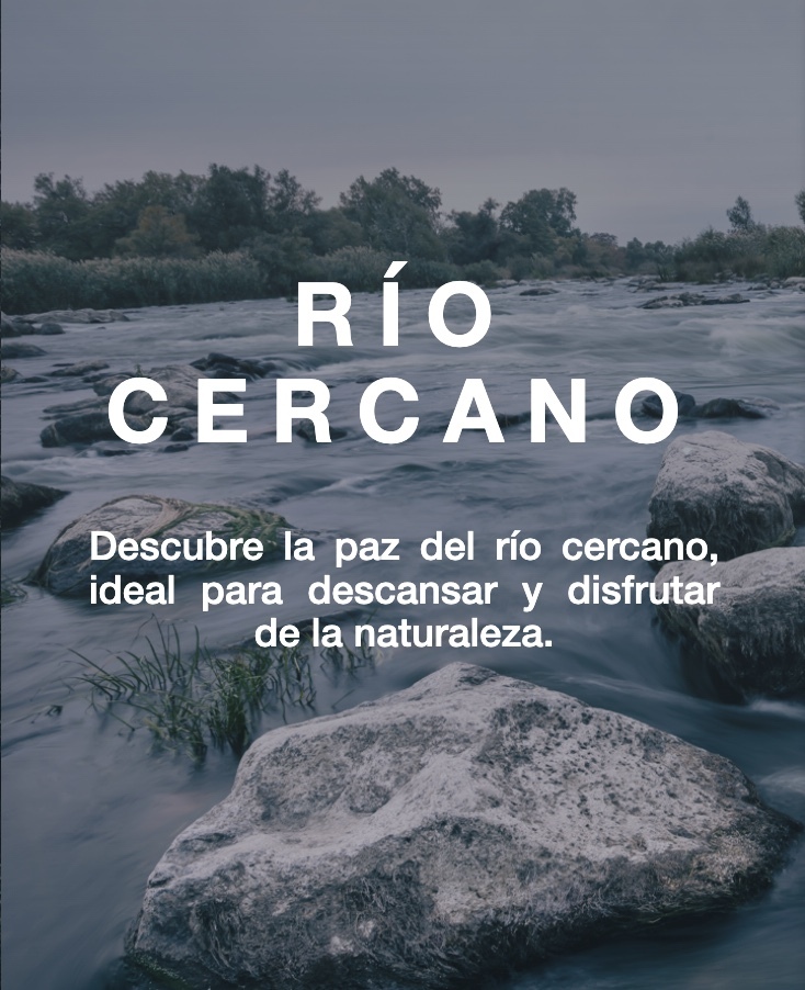 4 de 24