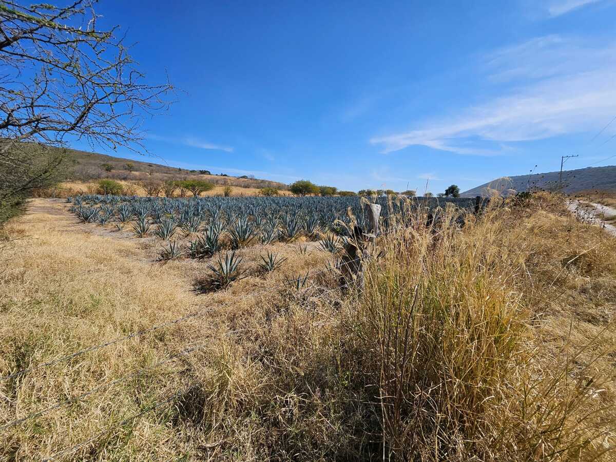 3 de 11