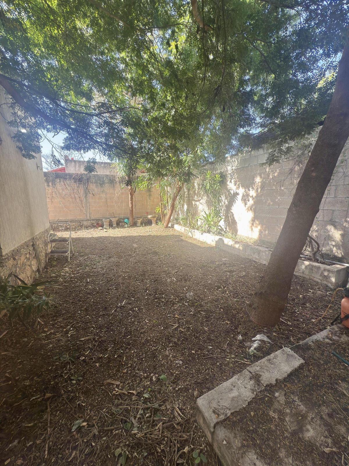3 de 25