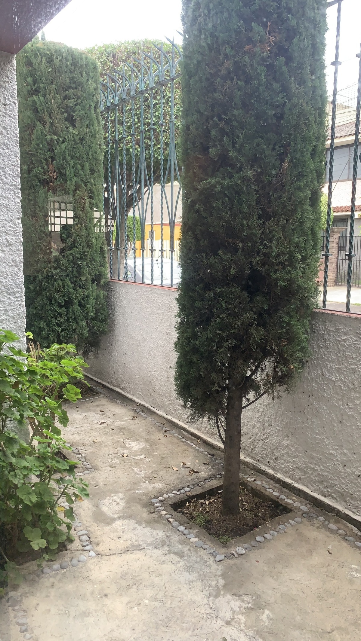 7 de 34