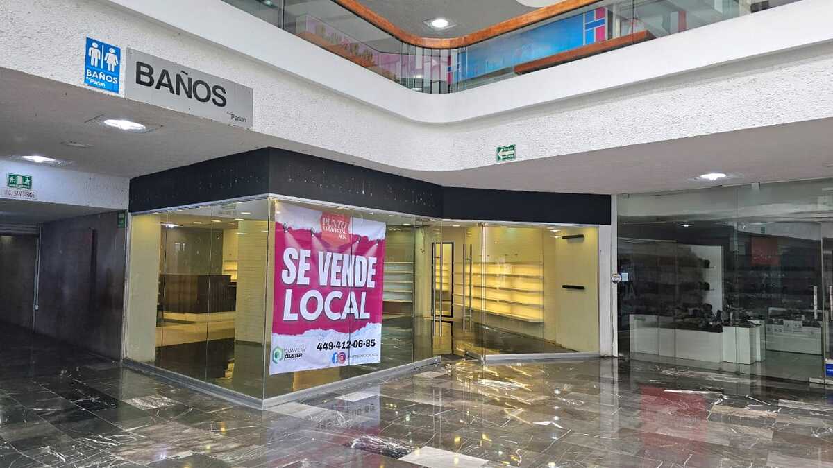 1 de 8