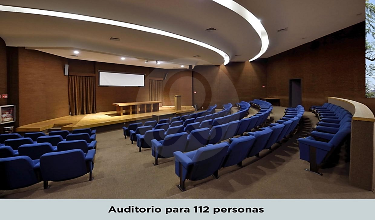 5 de 24