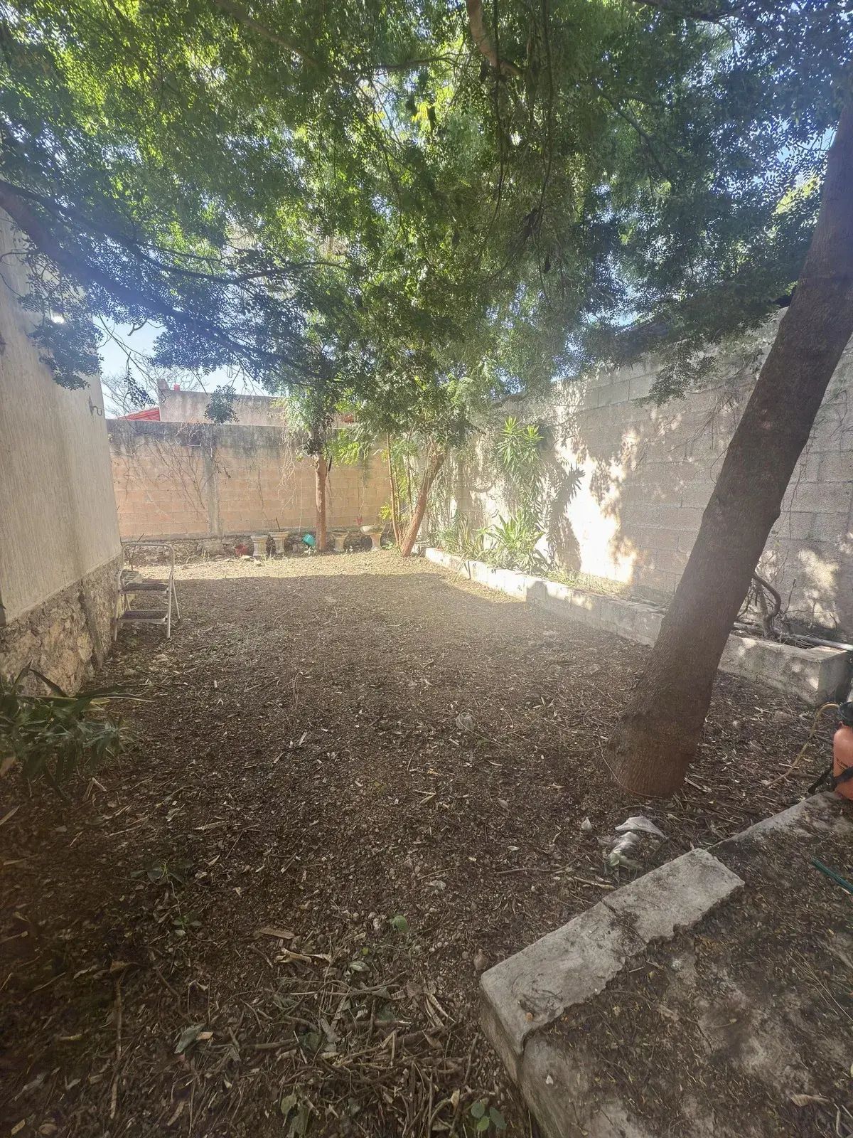 6 de 21