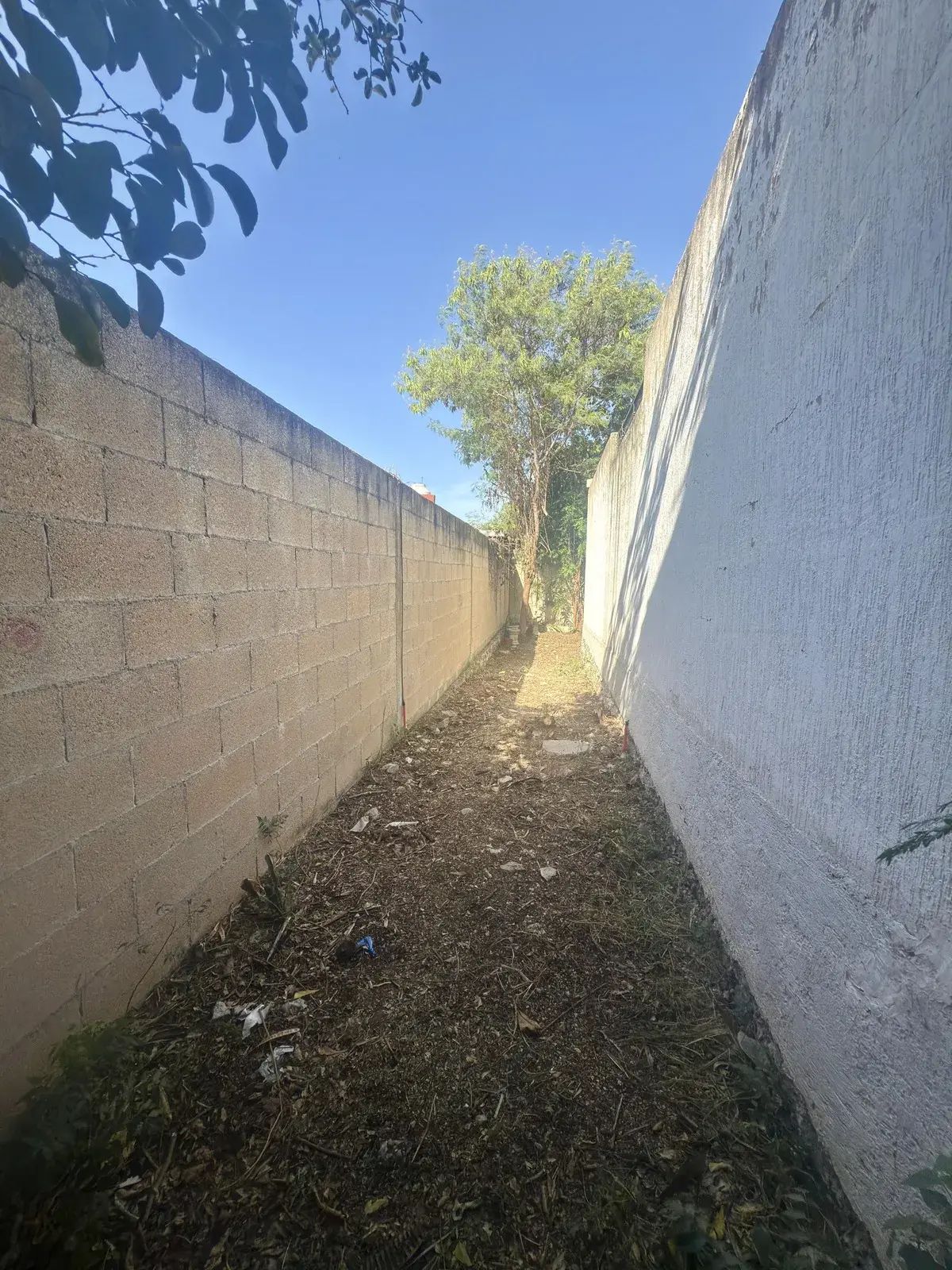 10 de 21