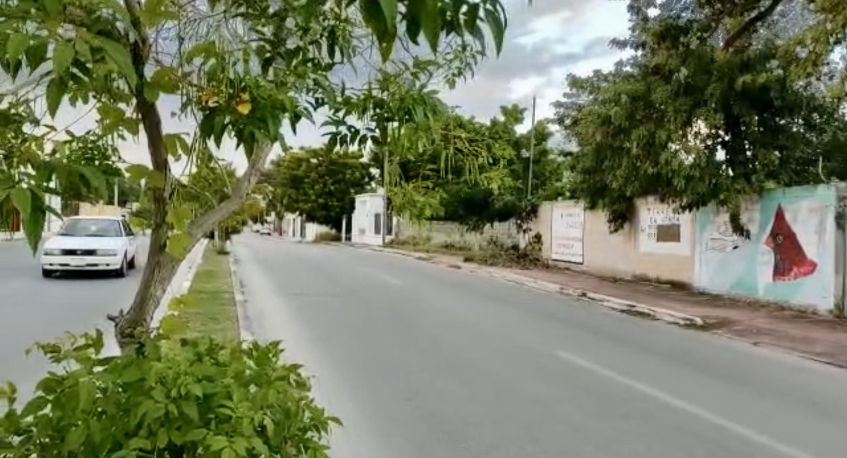 4 de 5