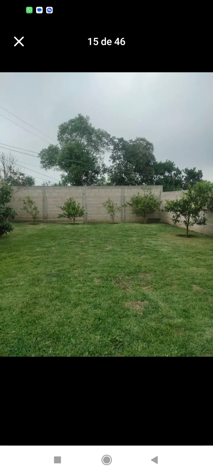 6 de 11