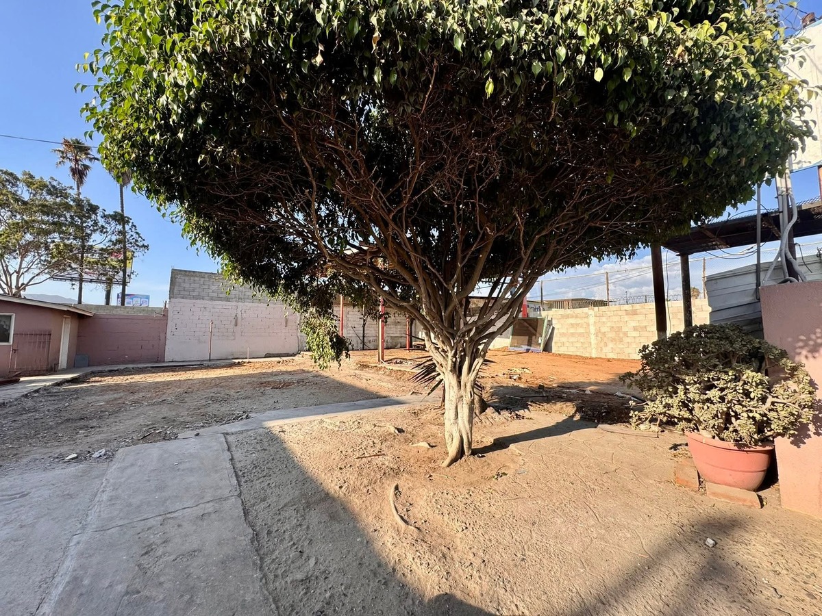2 de 6