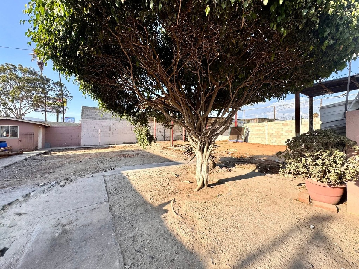 3 de 6