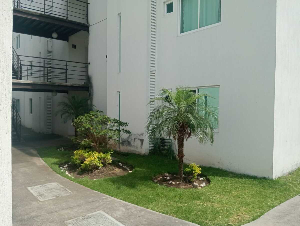 25 de 34