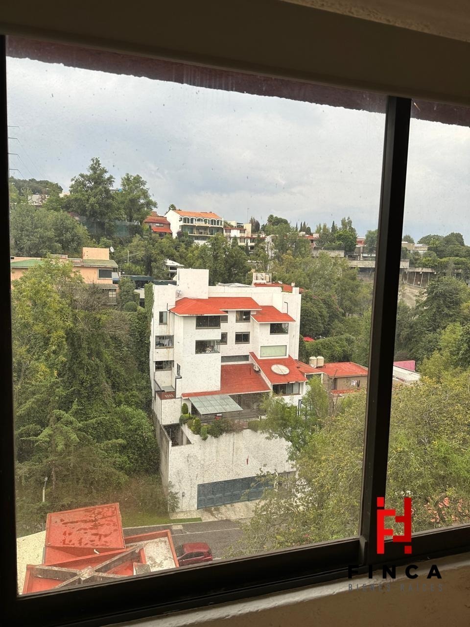 8 de 12