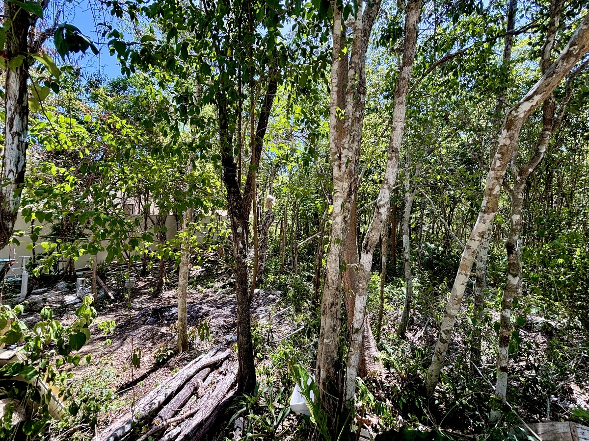 2 de 9