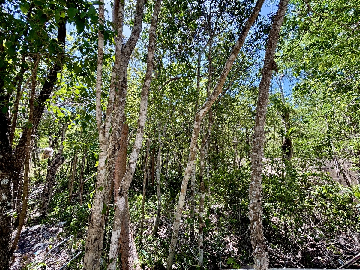 3 de 9