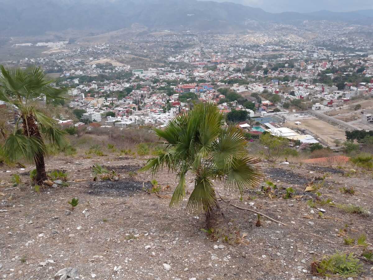 4 de 8