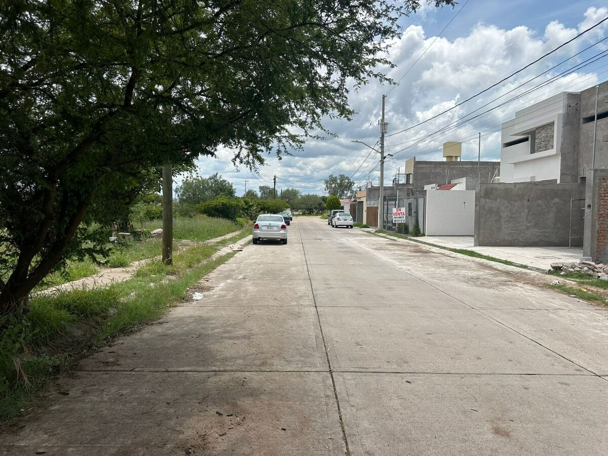 5 de 6