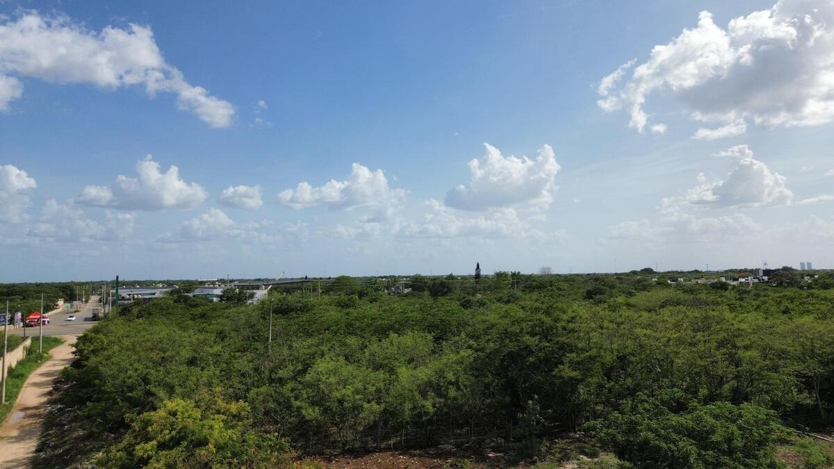 3 de 5