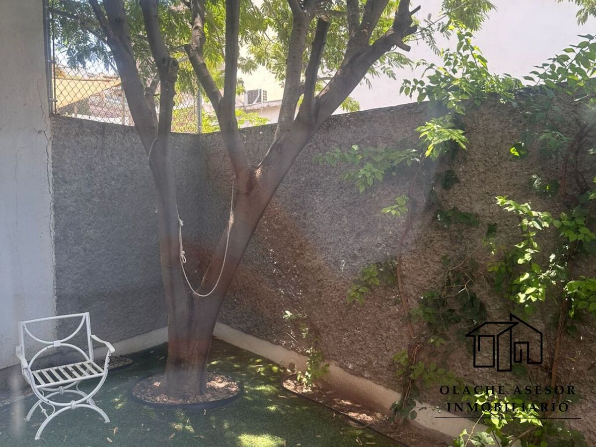 4 of 17: JARDIN