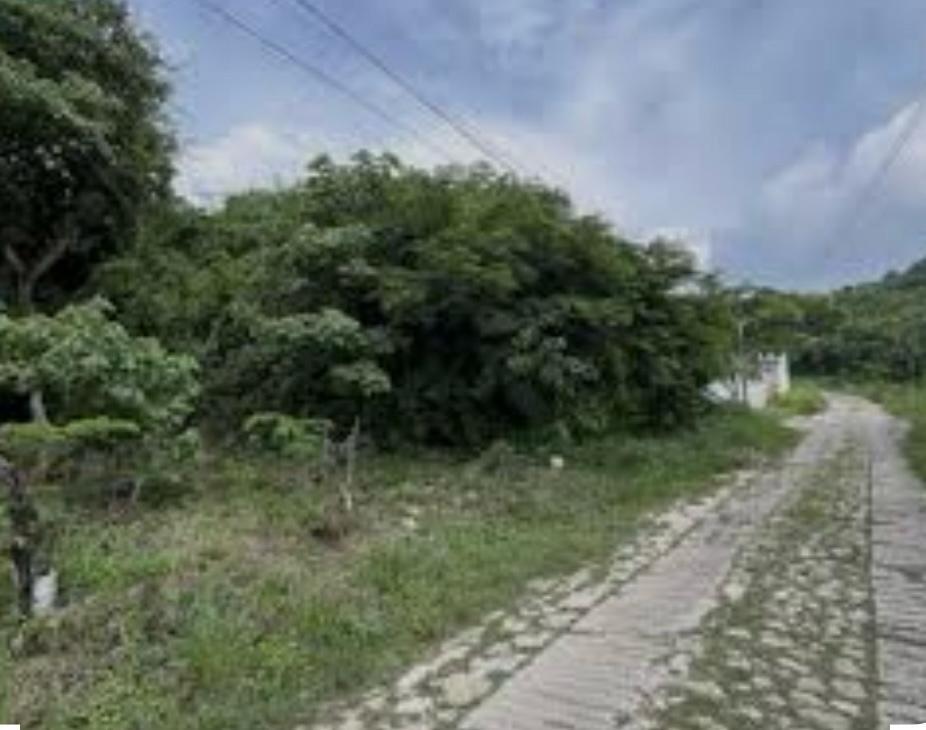 1 de 3