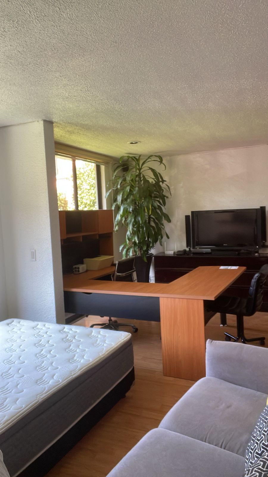 11 de 27: Home Office con planta, otra pantalla y balcón