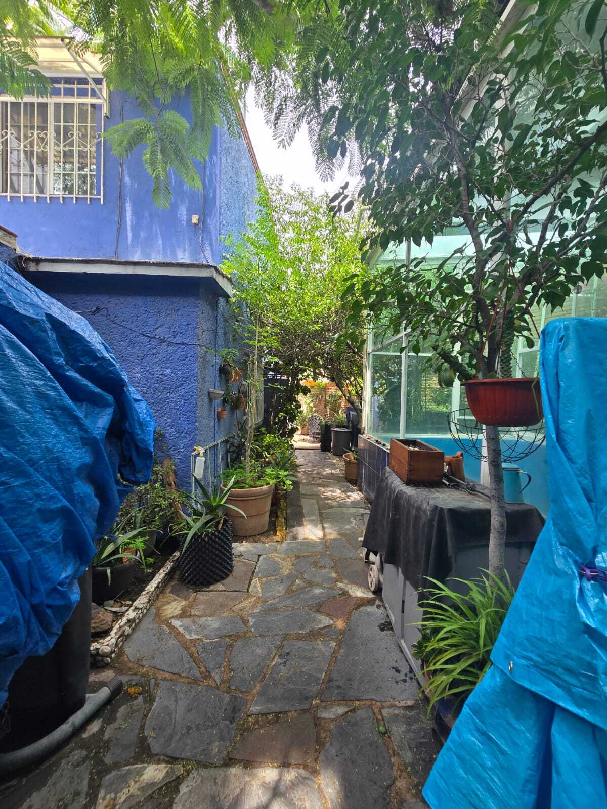 9 de 19
