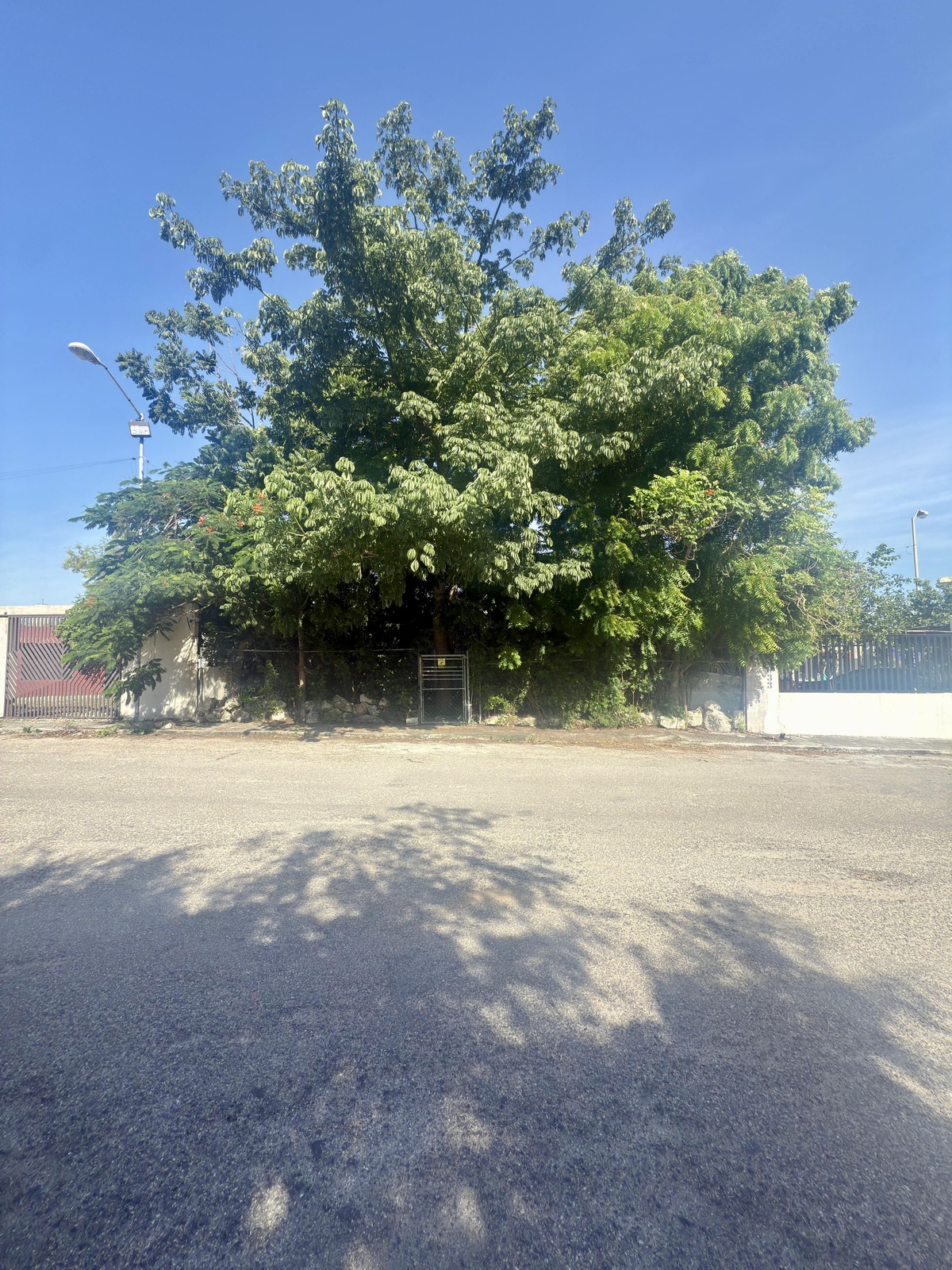 1 de 24