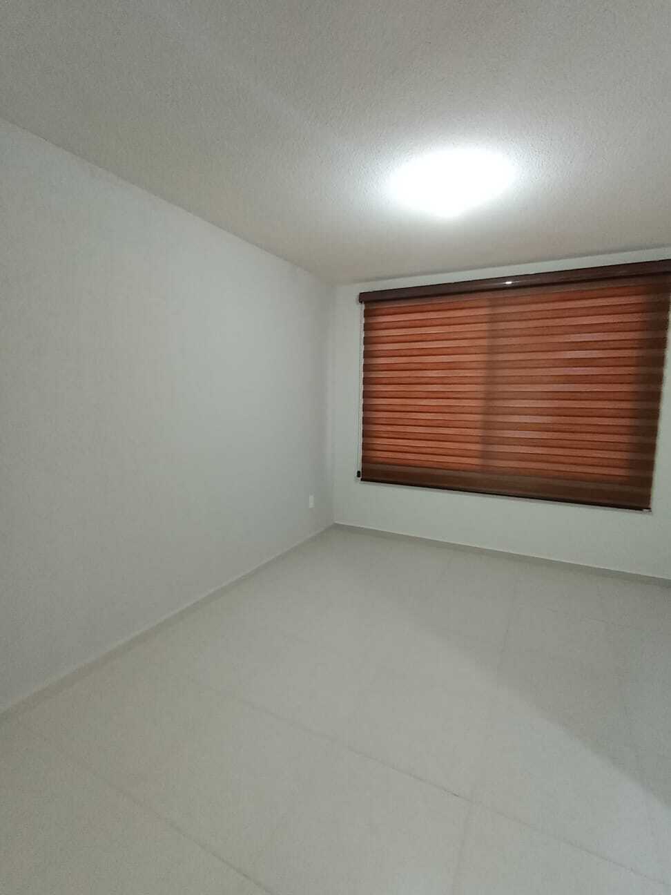 11 de 31