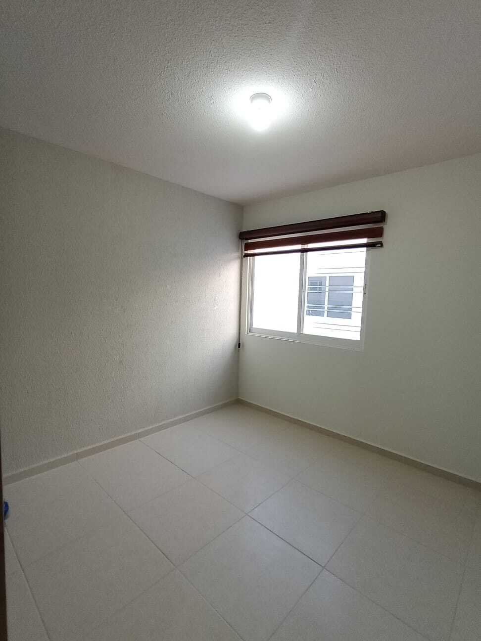 16 de 31