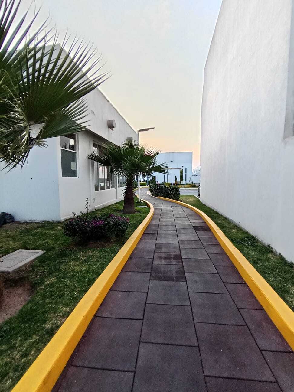 30 de 31