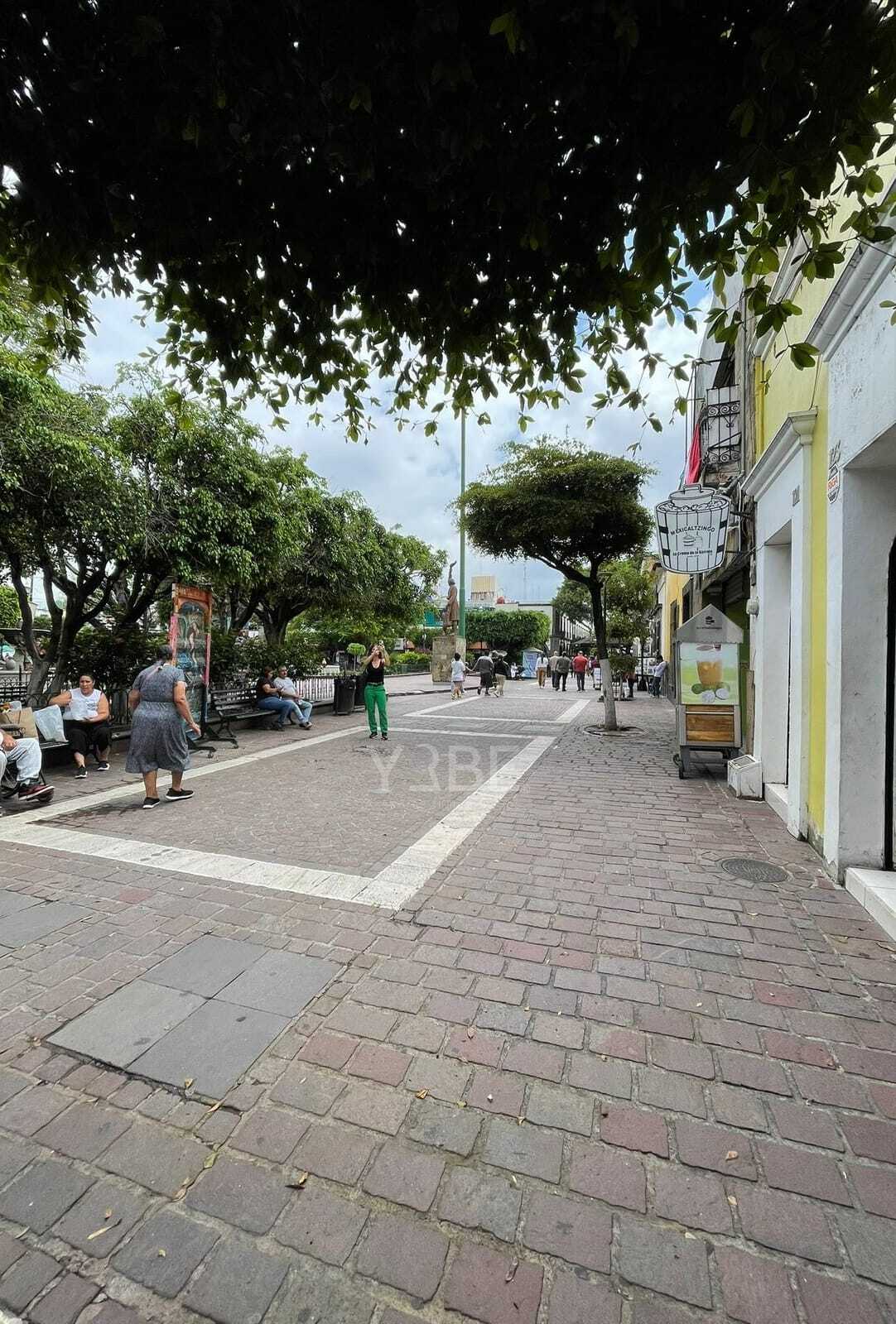 13 de 14