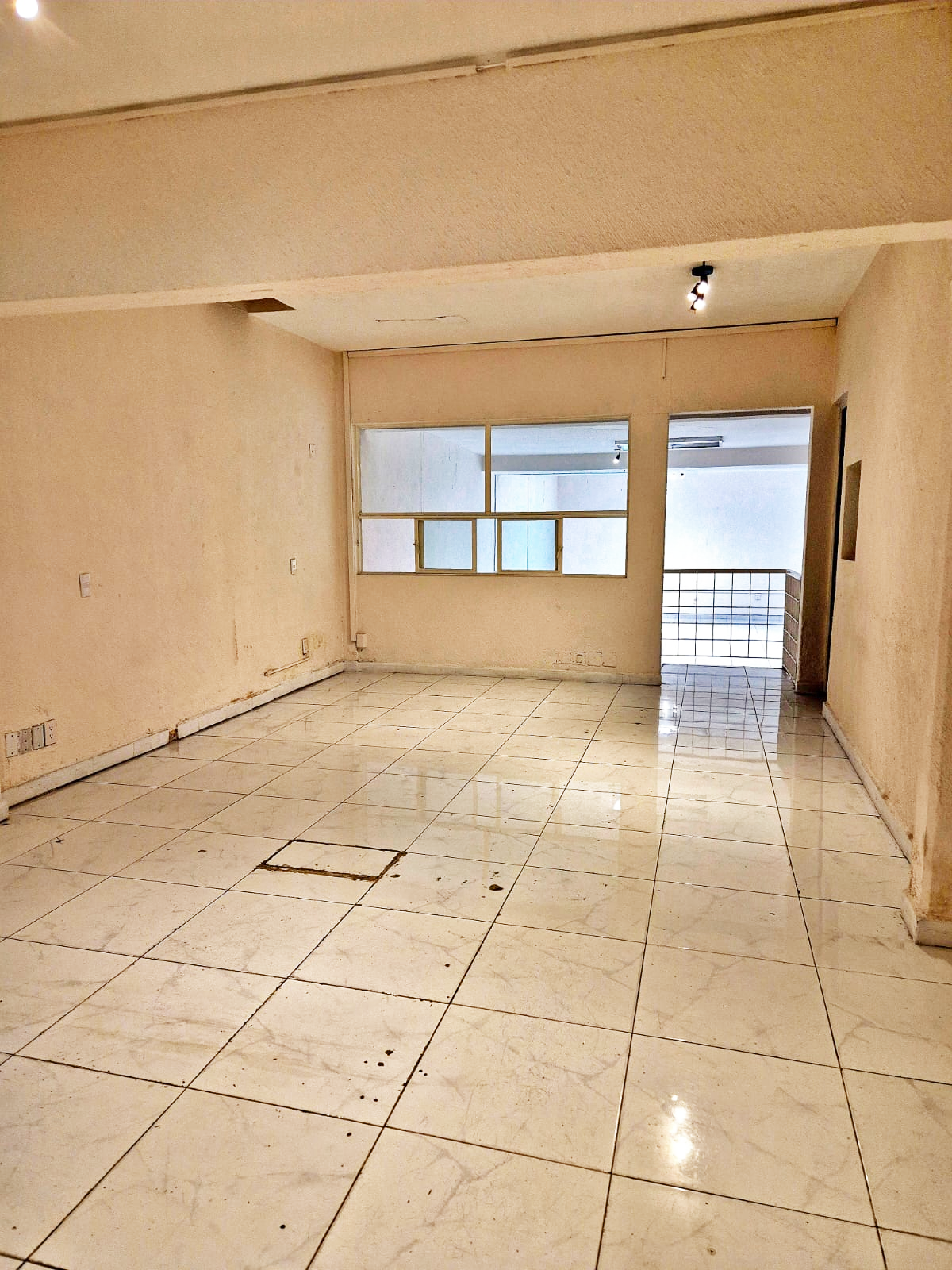 Edificio de 3 pisos en venta Uso amplio suelo comercial PB Col. Anzures - foto 3