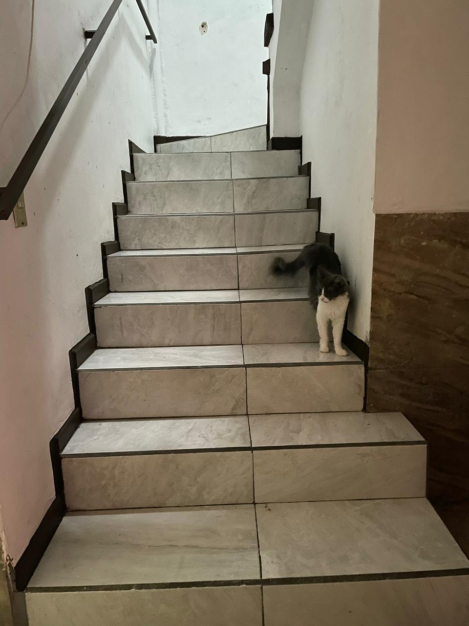 8 de 20